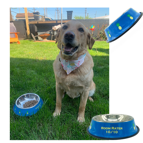 Room Rater 10/10 Dog Bowl