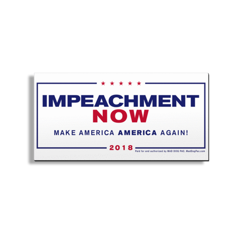Impeachment Now Car Magnet